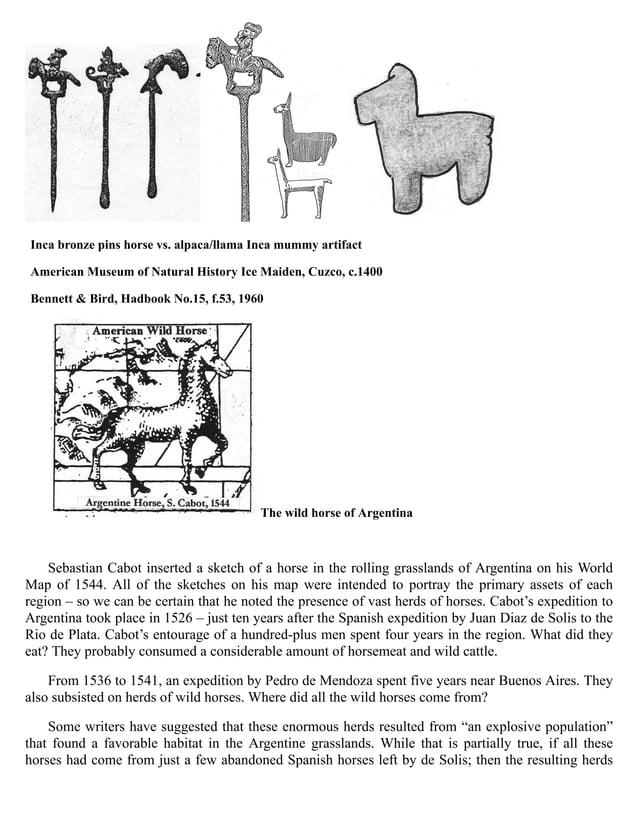 Indian Horses Before Columbus Evidences in America
