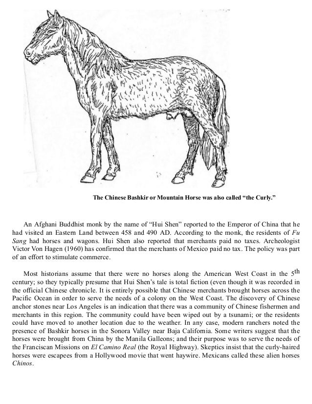 Indian Horses Before Columbus Evidences in America