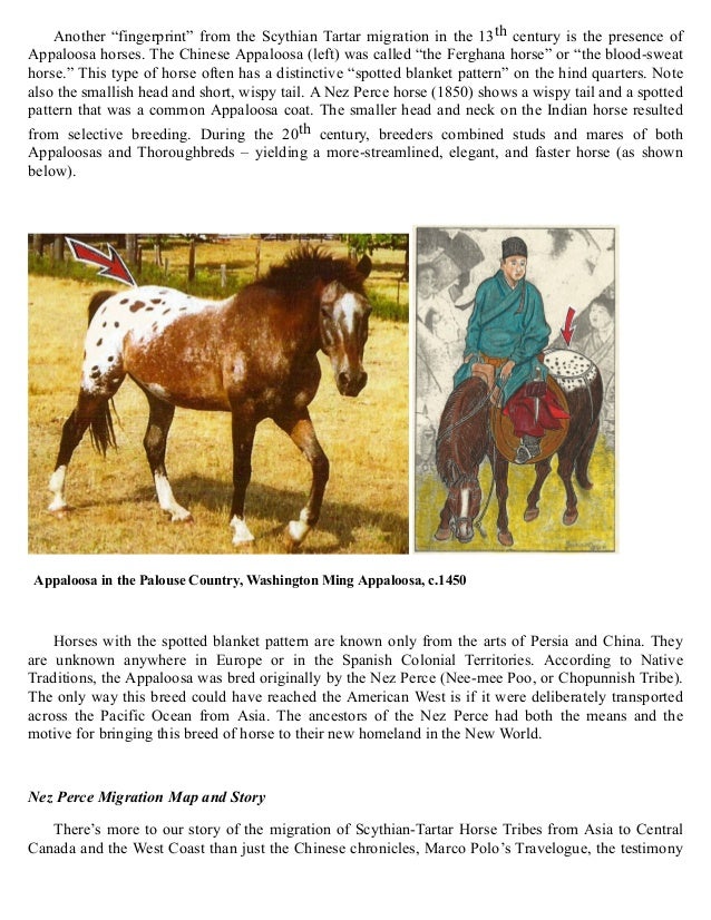 Indian Horses Before Columbus Evidences in America