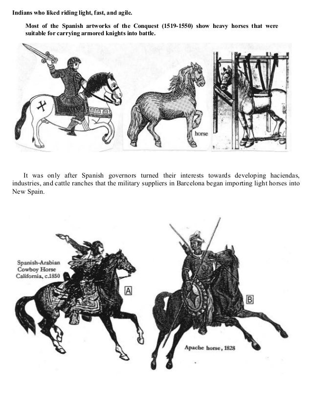 Indian Horses Before Columbus Evidences in America