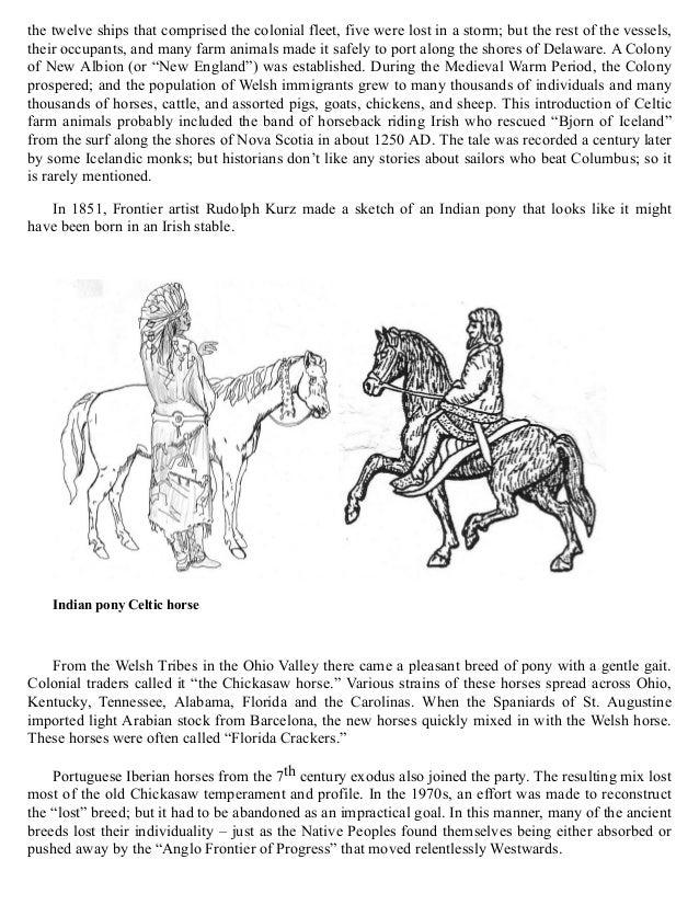 Indian Horses Before Columbus Evidences in America
