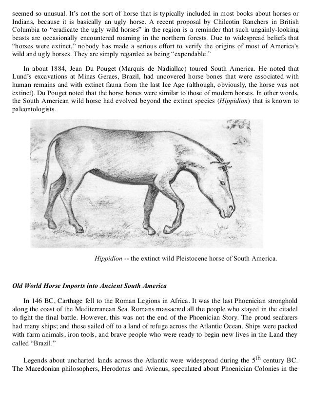 Indian Horses Before Columbus Evidences in America