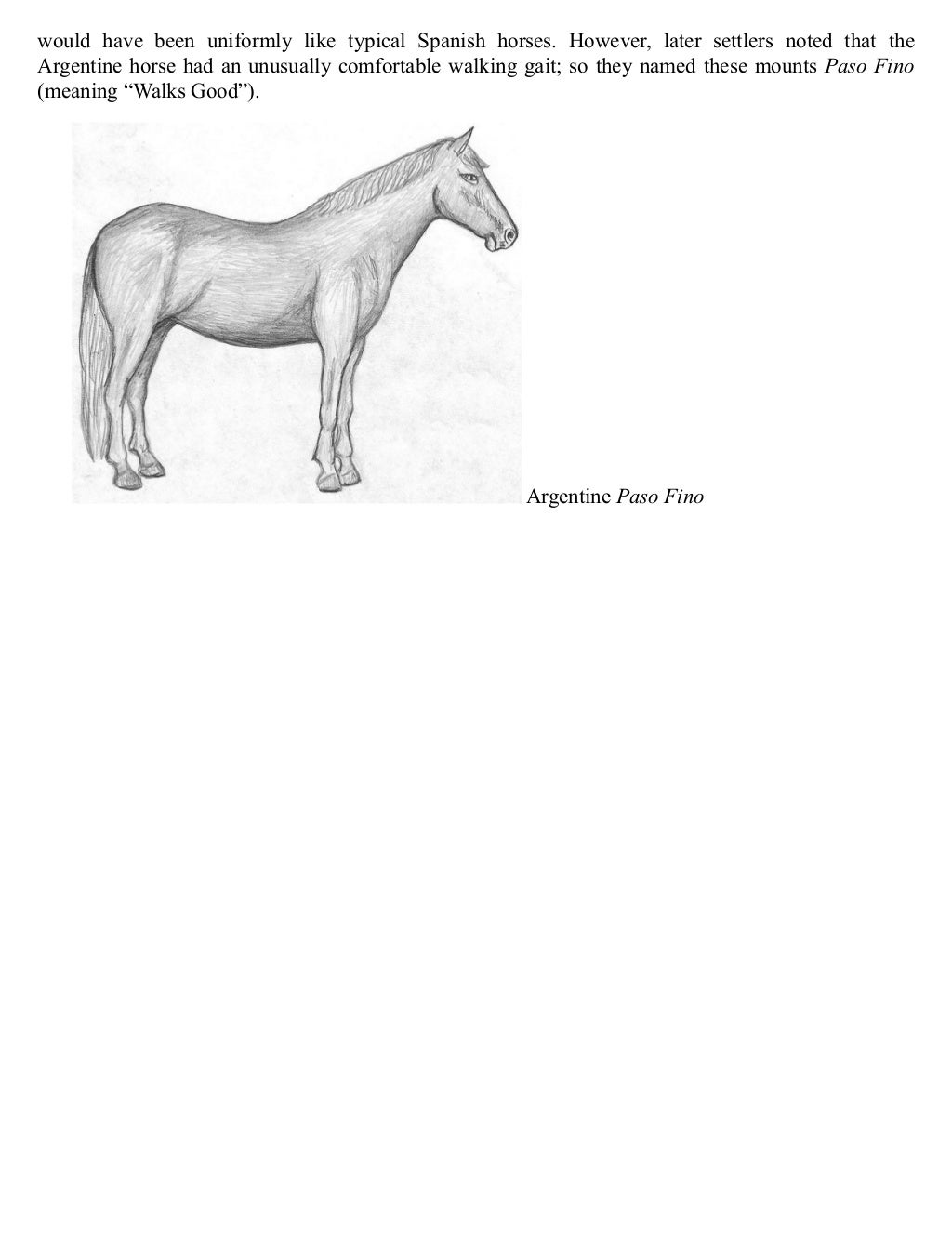 Indian Horses Before Columbus Evidences in America