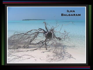 Ilha
Balgaram
 