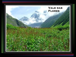 Vale das
Flores
 