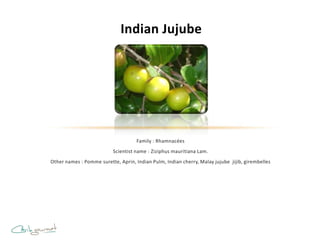 Indian Jujube




                                     Family : Rhamnacées
                           Scientist name : Ziziphus mauritiana Lam.
Other names : Pomme surette, Aprin, Indian Pulm, Indian cherry, Malay jujube jijib, girembelles
 