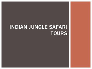INDIAN JUNGLE SAFARI
TOURS
 