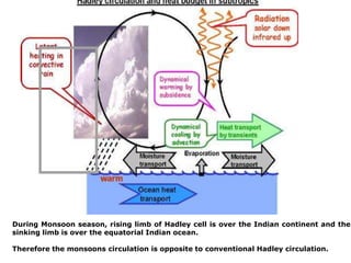 During Monsoon season, rising limb of Hadley cell is over the Indian continent and the
sinking limb is over the equatorial Indian ocean.
Therefore the monsoons circulation is opposite to conventional Hadley circulation.
 