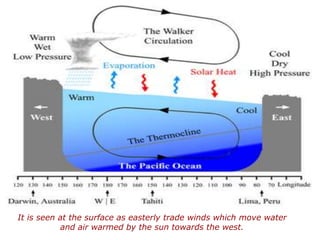 It is seen at the surface as easterly trade winds which move water
and air warmed by the sun towards the west.
 