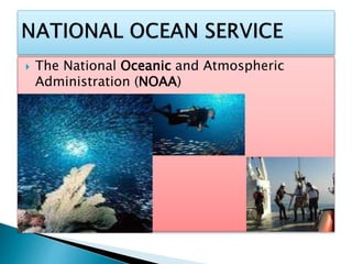  The National Oceanic and Atmospheric
Administration (NOAA)
 