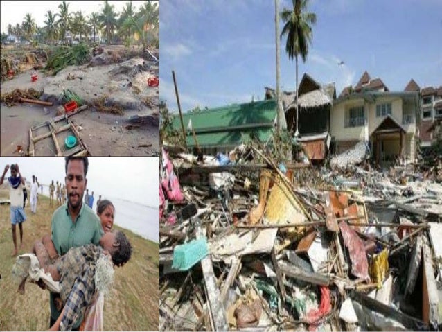 the damaging effects of a tsunami For sure, one of the most dangerous effects of an earthquake is a tsunami tsunamis are giant waves that can cause floods and in some cases may reach up to 100 feet in height tsunamis are giant waves that can cause floods and in some cases may reach up to 100 feet in height. the damaging effects of a tsunami For sure, one of the most dangerous effects of an earthquake is a tsunami tsunamis are giant waves that can cause floods and in some cases may reach up to 100 feet in height tsunamis are giant waves that can cause floods and in some cases may reach up to 100 feet in height.