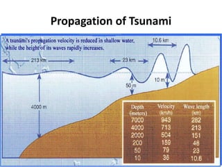 Propagation of Tsunami
5
 