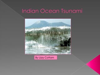 Indian Ocean Tsunami By Lizzy Cottam 