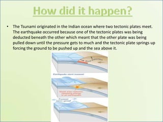 How did it happen?The Tsunami originated in the Indian ocean where two tectonic plates meet. The earthquake occurred because one of the tectonic plates was being deducted beneath the other which meant that the other plate was being pulled down until the pressure gets to much and the tectonic plate springs up forcing the ground to be pushed up and the sea above it.   