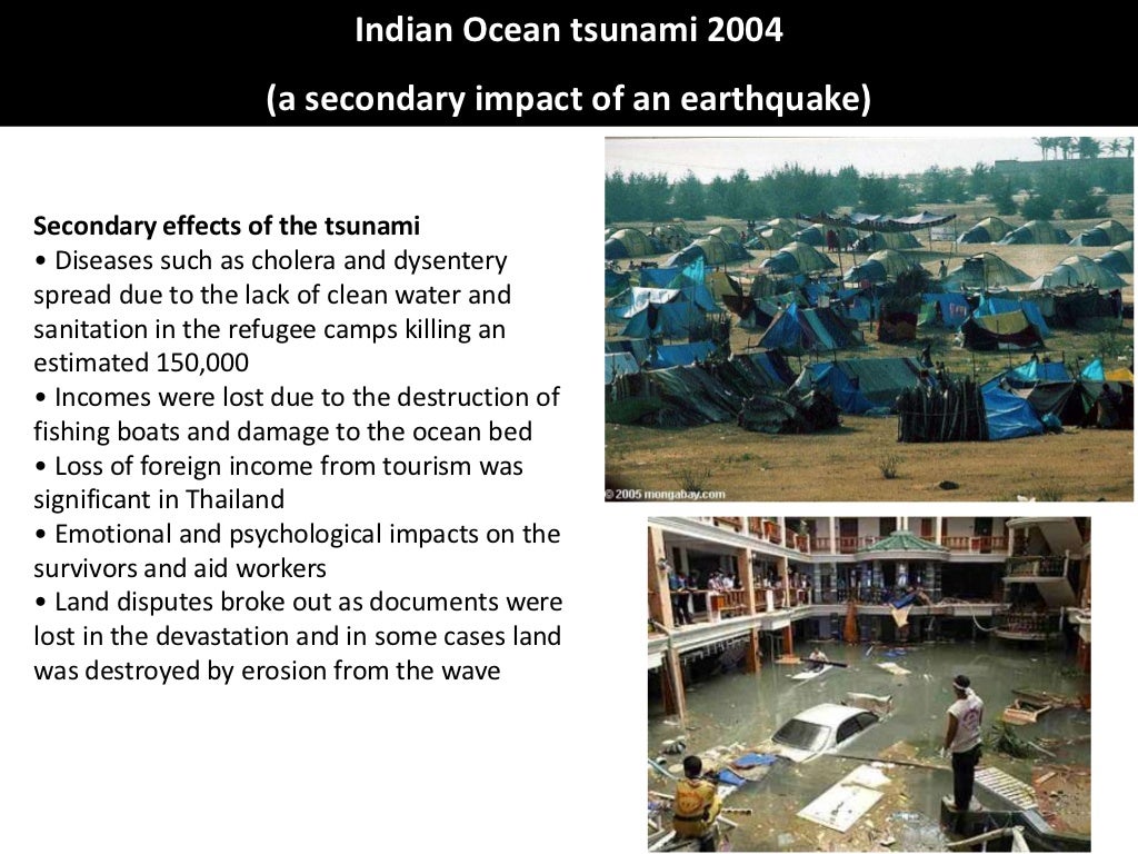 case studies of tsunami