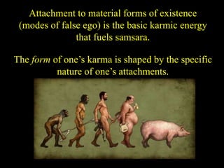 Attachment to material forms of existence
(modes of false ego) is the basic karmic energy
that fuels samsara.
The form of one’s karma is shaped by the specific
nature of one’s attachments.
 