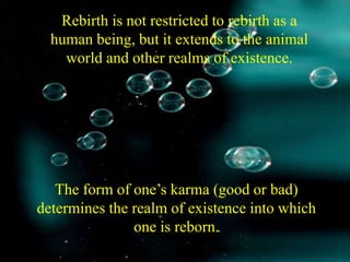 Rebirth is not restricted to rebirth as a
human being, but it extends to the animal
world and other realms of existence.
The form of one’s karma (good or bad)
determines the realm of existence into which
one is reborn.
 