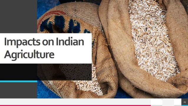 Indian Policy In Agriculture PPT indian-policy-in-agriculture-ppt