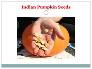 Indian Pumpkin Seeds
 