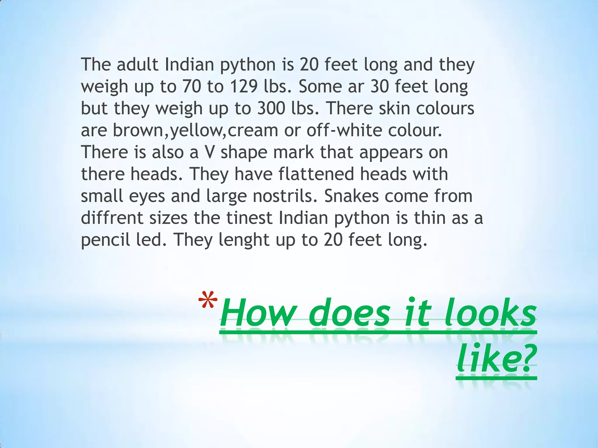 Indian python | PPTX