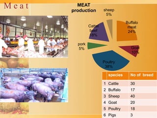 India food processing overview | PPTX