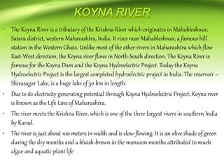 • The Koyna River is a tributary of the Krishna River which originates in Mahableshwar,
Satara district, western Maharashtra, India. It rises near Mahableshwar, a famous hill
station in the Western Ghats. Unlike most of the other rivers in Maharashtra which flow
East-West direction, the Koyna river flows in North-South direction. The Koyna River is
famous for the Koyna Dam and the Koyna Hydroelectric Project. Today the Koyna
Hydroelectric Project is the largest completed hydroelectric project in India. The reservoir –
Shivasagar Lake, is a huge lake of 50 km in length.
• Due to its electricity generating potential through Koyna Hydroelectric Project, Koyna river
is known as the Life Line of Maharashtra.
• The river meets the Krishna River, which is one of the three largest rivers in southern India
by Karad.
• The river is just about 100 meters in width and is slow-flowing. It is an olive shade of green
during the dry months and a bluish-brown in the monsoon months attributed to much
algae and aquatic plant life
 