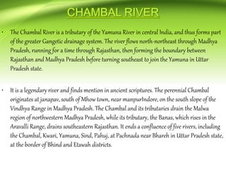 • The Chambal River is a tributary of the Yamuna River in central India, and thus forms part
of the greater Gangetic drainage system. The river flows north-northeast through Madhya
Pradesh, running for a time through Rajasthan, then forming the boundary between
Rajasthan and Madhya Pradesh before turning southeast to join the Yamuna in Uttar
Pradesh state.
• It is a legendary river and finds mention in ancient scriptures. The perennial Chambal
originates at janapav, south of Mhow town, near manpurIndore, on the south slope of the
Vindhya Range in Madhya Pradesh. The Chambal and its tributaries drain the Malwa
region of northwestern Madhya Pradesh, while its tributary, the Banas, which rises in the
Aravalli Range, drains southeastern Rajasthan. It ends a confluence of five rivers, including
the Chambal, Kwari, Yamuna, Sind, Pahuj, at Pachnada near Bhareh in Uttar Pradesh state,
at the border of Bhind and Etawah districts.
 