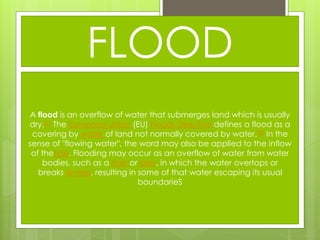 Indian river system and flood | PPTX