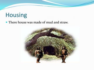 Housing
 There house was made of mud and straw.
 