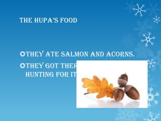 The hupa’s food
They ate Salmon and acorns.
They got there food by
hunting for it.
 
