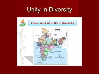 Unity In DiversityUnity In Diversity
 