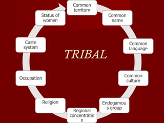 TRIBAL
 