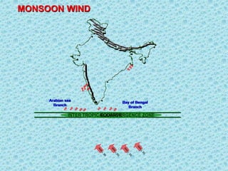 INTER TROPICAL CONVERGENCE ZONE
EQUATOR
MONSOON WIND
Arabian sea
Branch
Bay of Bengal
Branch
 
