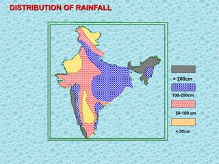 DISTRIBUTION OF RAINFALL
> 200cm
100-200cm
50-100 cm
< 50cm
 