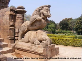 В храмах Индии всегда можно найти изображения животных 