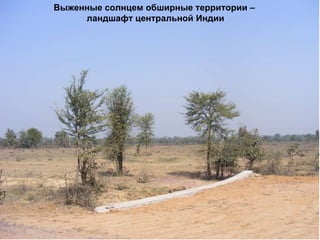 Выженные солнцем обширные территории –  ландшафт центральной Индии 