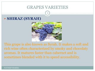 GRAPES VARIETIES
NAVDEEP SHARMA
6
 SHIRAZ (SYRAH)
This grape is also known as Syrah. It makes a soft and
rich wine often characterized by smoky and chocolaty
aromas. It matures faster than cabernet and is
sometimes blended with it to speed accessibility.
 