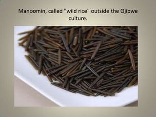 Manoomin Rice Wild Rice | PPTX