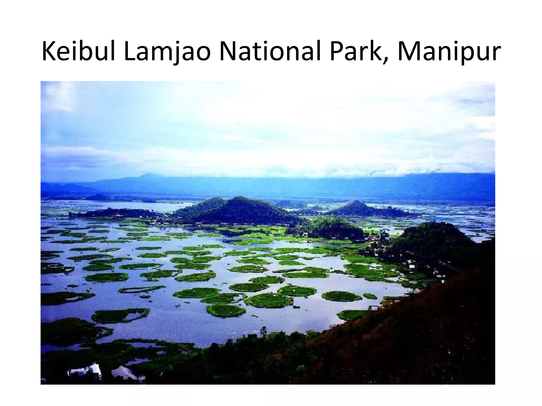 Keibul Lamjao National Park, Manipur
 