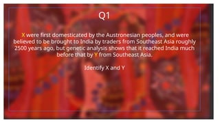Q1
X were first domesticated by the Austronesian peoples, and were
believed to be brought to India by traders from Southeast Asia roughly
2500 years ago, but genetic analysis shows that it reached India much
before that by Y from Southeast Asia.
Identify X and Y
 