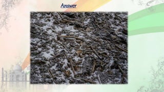 Answer
 