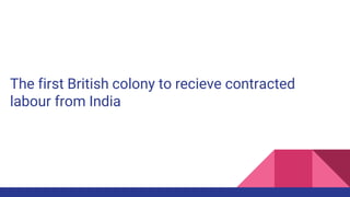 The first British colony to recieve contracted
labour from India
 
