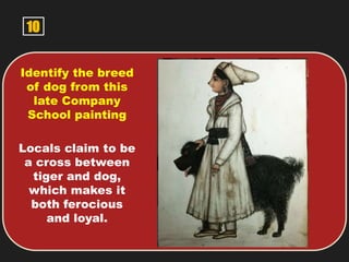 10
Identify the breed
of dog from this
late Company
School painting
Locals claim to be
a cross between
tiger and dog,
which makes it
both ferocious
and loyal.
 