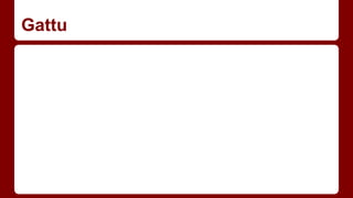 Gattu
 
