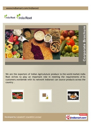 We are the exporters of Indian Agriculuture produce to the world market.India
Root strives to play an important role in meeting the requirements of its
customers.worldwide with its network Indiaroot can source products across the
country .
 