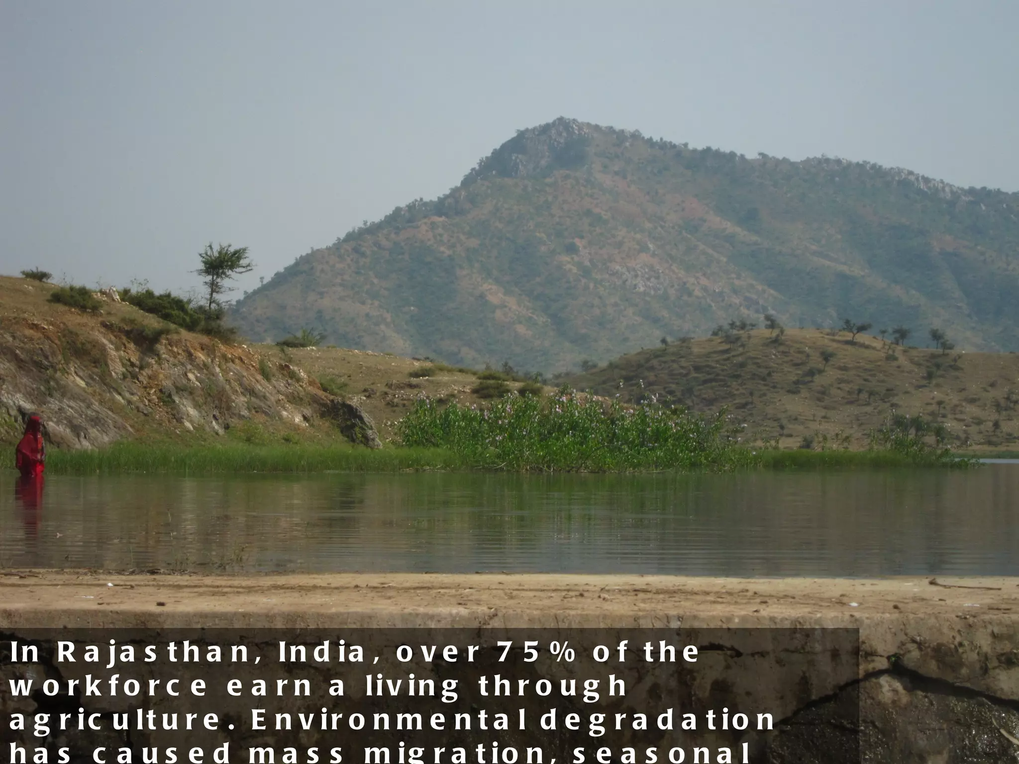In Rajasthan, India, over 75% of the workforce earn a living through agriculture. Environmental degradation has caused mass migration, seasonal drought, and severe food shortages. 