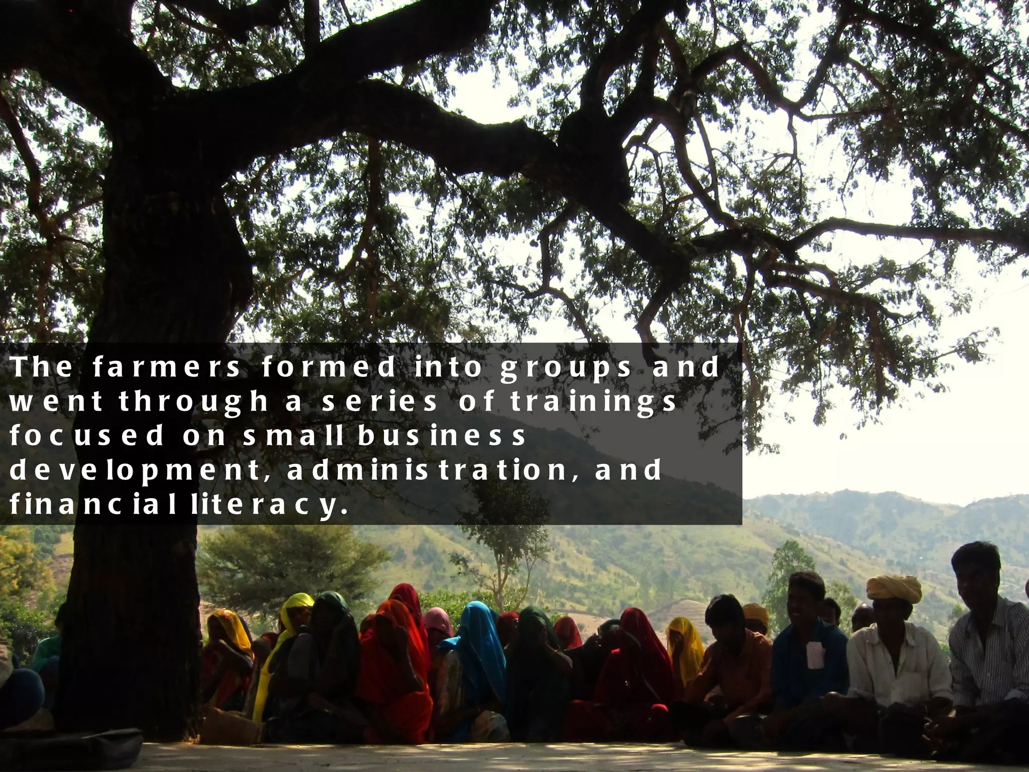 The farmers formed into groups and went through a series of trainings focused on small business development, administration, and financial literacy. 