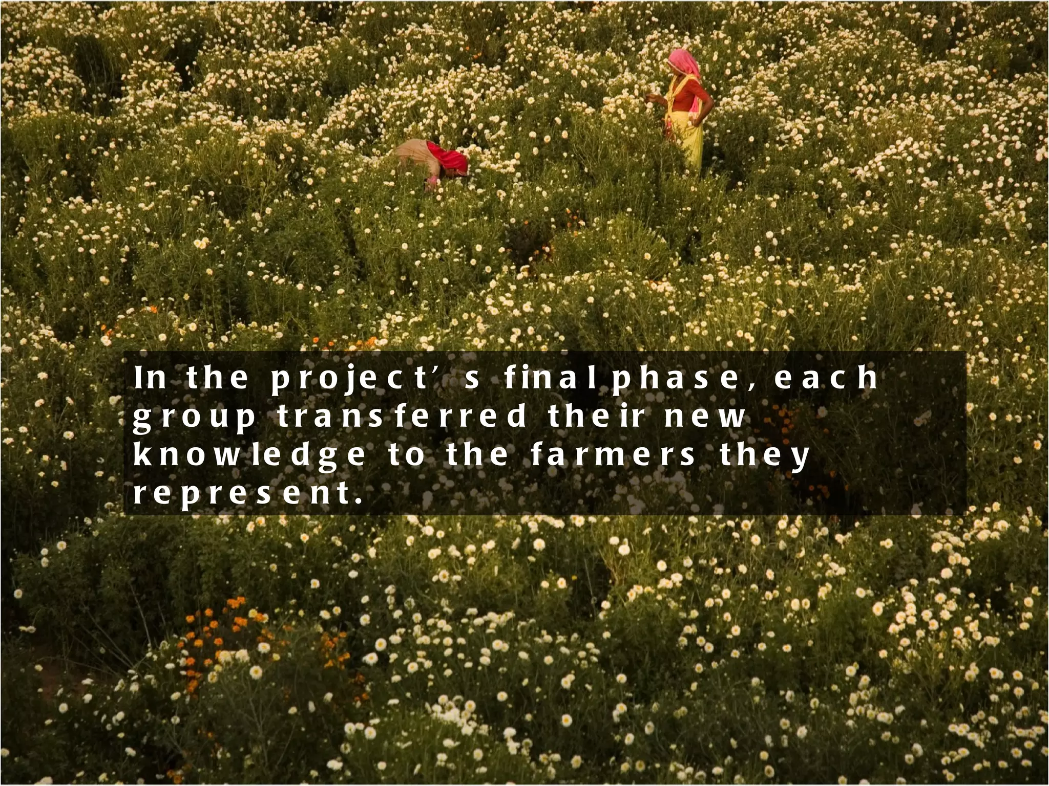In the project’s final phase, each group transferred their new knowledge to the farmers they represent. 