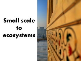 Small scale
    to
ecosystems
 