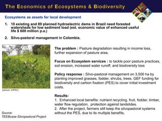Ecosystems as assets for local development
  1. 10 existing and 89 planned hydroelectric dams in Brazil need forested
     watersheds for low sediment load (est. economic value of enhanced useful
     life $ 600 million p.a.)
  2. Silvo-pastoral management in Colombia.

                                 The problem : Pasture degradation resulting in income loss,
                                 further expansion of pasture area.

                                 Focus on Ecosystem services : to tackle poor pasture practices,
                                 soil erosion, increased water runoff, and biodiversity loss

                                 Policy response : Silvo-pastoral management on 3,500 ha by
                                 planting improved grasses, fodder, shrubs, trees. GEF funding for
                                 biodiversity and carbon fixation (PES) to cover initial investment
                                 costs.
(picture: CIPAV)

                                 Results:
                                 1. Enhanced local benefits: nutrient recycling, fruit, fodder, timber,
                                 water flow regulation, protection against landslides.
                                 2. After the project, farmers still keep the silvopastoral systems
Source:                          without the PES, due to its multiple benefits.
TEEBcase Silvopastoral Project
 